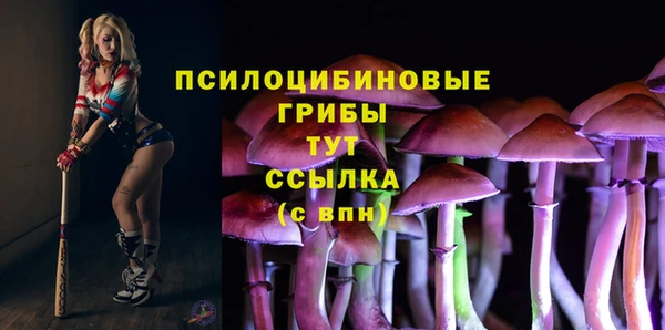 МДПВ Дмитров